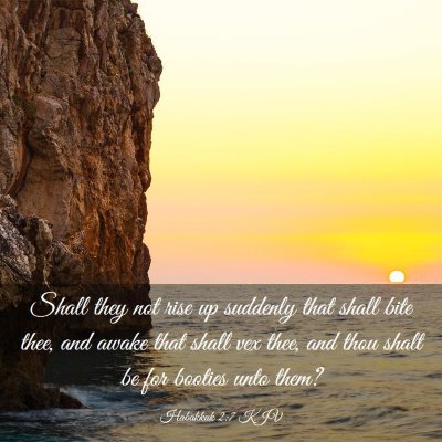 Picture 03 - Habakkuk 2:7 KJV - Shall they not rise up suddenly that shall bite - Bible Verse Picture