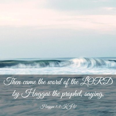 Picture 03 - Haggai 1:3 KJV - Then came the word of the LORD by Haggai the - Bible Verse Picture