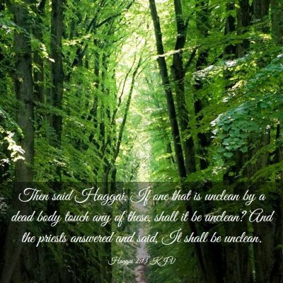 Picture 03 - Haggai 2:13 KJV - Then said Haggai, If one that is unclean by a - Bible Verse Picture