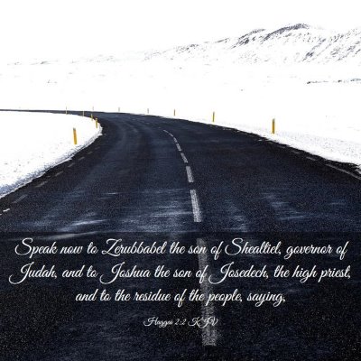 Picture 03 - Haggai 2:2 KJV - Speak now to Zerubbabel the son of Shealtiel, - Bible Verse Picture
