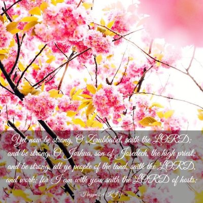 Picture 03 - Haggai 2:4 KJV - Yet now be strong, O Zerubbabel, saith the LORD; - Bible Verse Picture