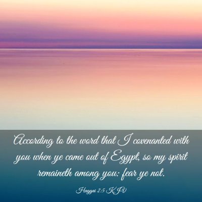 Picture 03 - Haggai 2:5 KJV - According to the word that I covenanted with you - Bible Verse Picture
