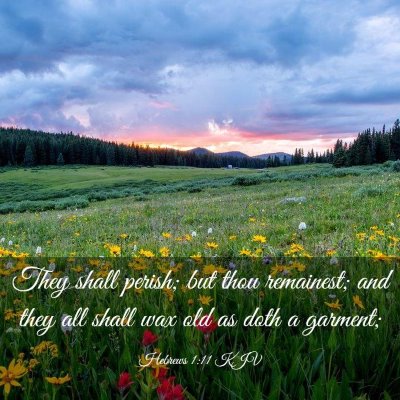 Picture 03 - Hebrews 1:11 KJV - They shall perish; but thou remainest; and they - Bible Verse Picture