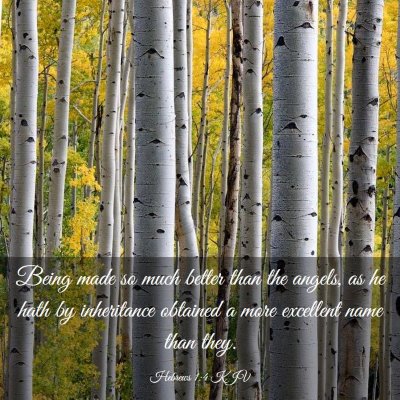 Picture 03 - Hebrews 1:4 KJV - Being made so much better than the angels, as he - Bible Verse Picture