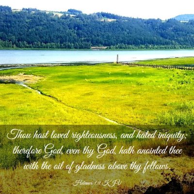 Picture 03 - Hebrews 1:9 KJV - Thou hast loved righteousness, and hated - Bible Verse Picture