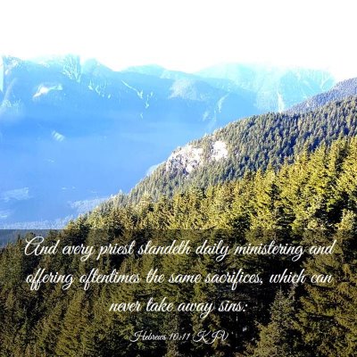Picture 03 - Hebrews 10:11 KJV - And every priest standeth daily ministering and - Bible Verse Picture