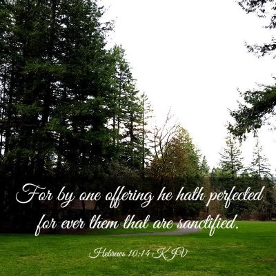 Picture 03 - Hebrews 10:14 KJV - For by one offering he hath perfected for ever - Bible Verse Picture