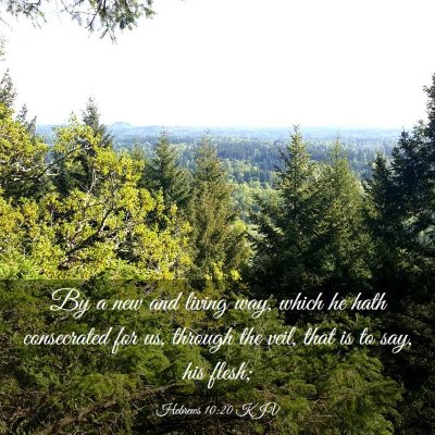 Picture 03 - Hebrews 10:20 KJV - By a new and living way, which he hath - Bible Verse Picture
