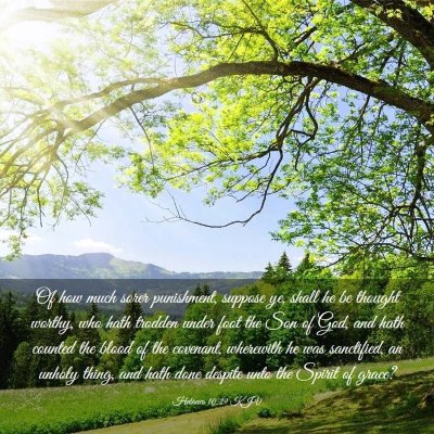 Picture 03 - Hebrews 10:29 KJV - Of how much sorer punishment, suppose ye, shall - Bible Verse Picture