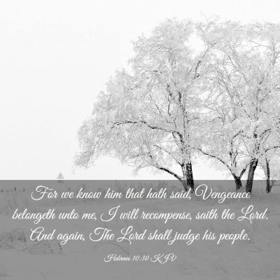 Picture 03 - Hebrews 10:30 KJV - For we know him that hath said, Vengeance - Bible Verse Picture
