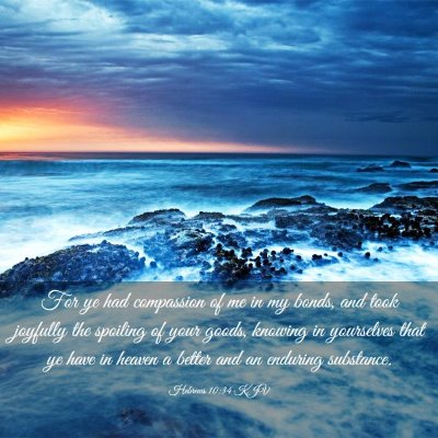 Picture 03 - Hebrews 10:34 KJV - For ye had compassion of me in my bonds, and took - Bible Verse Picture