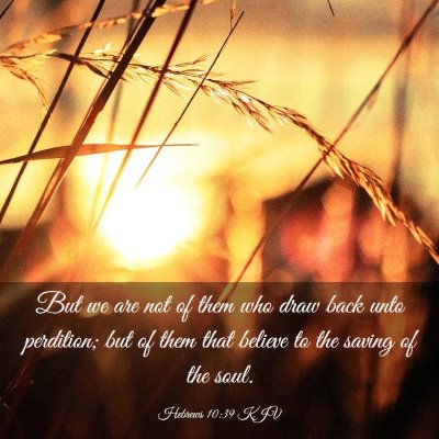Picture 03 - Hebrews 10:39 KJV - But we are not of them who draw back unto - Bible Verse Picture