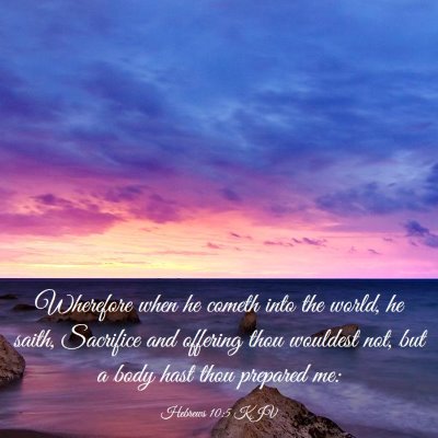 Picture 03 - Hebrews 10:5 KJV - Wherefore when he cometh into the world, he - Bible Verse Picture
