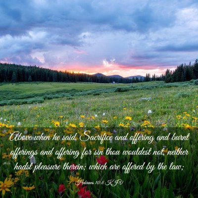 Picture 03 - Hebrews 10:8 KJV - Above when he said, Sacrifice and offering and - Bible Verse Picture