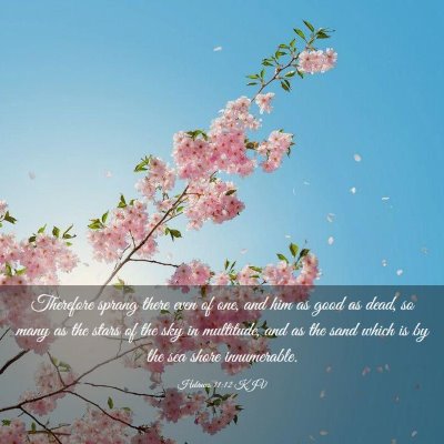 Picture 03 - Hebrews 11:12 KJV - Therefore sprang there even of one, and him as - Bible Verse Picture