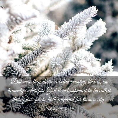 Picture 03 - Hebrews 11:16 KJV - But now they desire a better country, that is, an - Bible Verse Picture