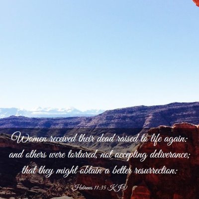 Picture 03 - Hebrews 11:35 KJV - Women received their dead raised to life again: - Bible Verse Picture
