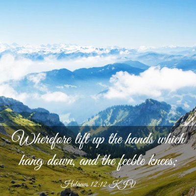 Picture 03 - Hebrews 12:12 KJV - Wherefore lift up the hands which hang down, and - Bible Verse Picture