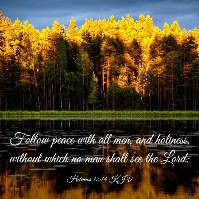 Picture 03 - Hebrews 12:14 KJV - Follow peace with all men, and holiness, without - Bible Verse Picture