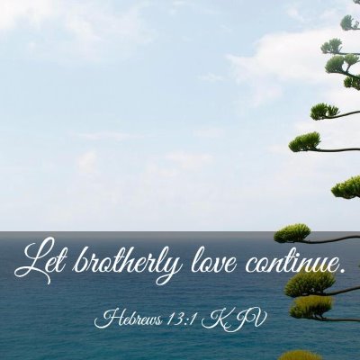 Picture 03 - Hebrews 13:1 KJV - Let brotherly love - Bible Verse Picture