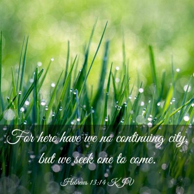 Picture 03 - Hebrews 13:14 KJV - For here have we no continuing city, but we seek - Bible Verse Picture