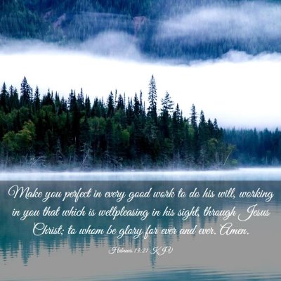 Picture 03 - Hebrews 13:21 KJV - Make you perfect in every good work to do his - Bible Verse Picture