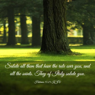 Picture 03 - Hebrews 13:24 KJV - Salute all them that have the rule over you, and - Bible Verse Picture