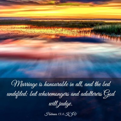 Picture 03 - Hebrews 13:4 KJV - Marriage is honourable in all, and the bed - Bible Verse Picture