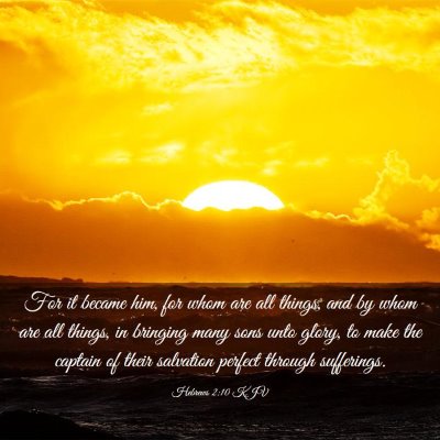 Picture 03 - Hebrews 2:10 KJV - For it became him, for whom are all things, and - Bible Verse Picture