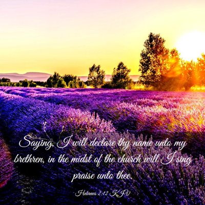 Picture 03 - Hebrews 2:12 KJV - Saying, I will declare thy name unto my brethren, - Bible Verse Picture