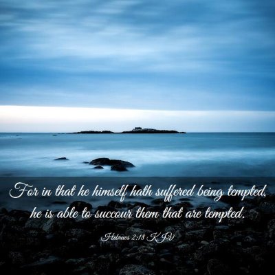 Picture 03 - Hebrews 2:18 KJV - For in that he himself hath suffered being - Bible Verse Picture
