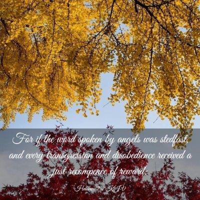 Picture 03 - Hebrews 2:2 KJV - For if the word spoken by angels was stedfast, - Bible Verse Picture