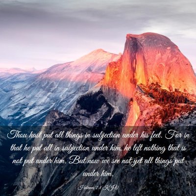 Picture 03 - Hebrews 2:8 KJV - Thou hast put all things in subjection under his - Bible Verse Picture