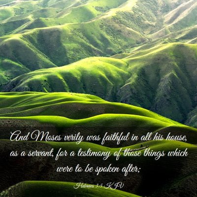 Picture 03 - Hebrews 3:5 KJV - And Moses verily was faithful in all his house, - Bible Verse Picture