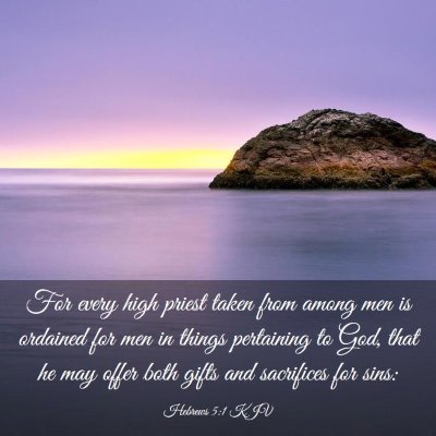 Picture 03 - Hebrews 5:1 KJV - For every high priest taken from among men is - Bible Verse Picture