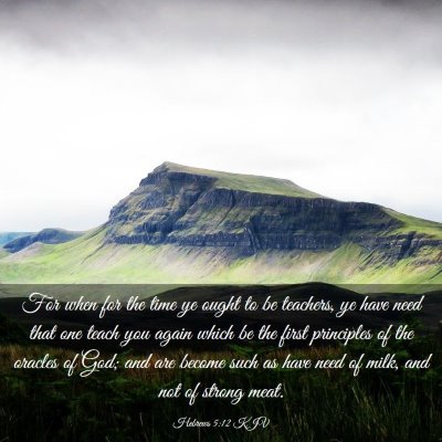 Picture 03 - Hebrews 5:12 KJV - For when for the time ye ought to be teachers, ye - Bible Verse Picture