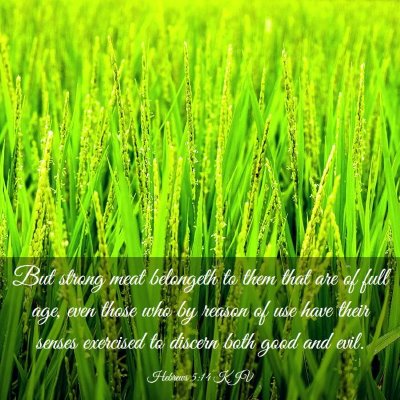 Picture 03 - Hebrews 5:14 KJV - But strong meat belongeth to them that are of - Bible Verse Picture