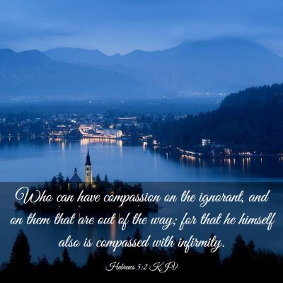 Picture 03 - Hebrews 5:2 KJV - Who can have compassion on the ignorant, and on - Bible Verse Picture