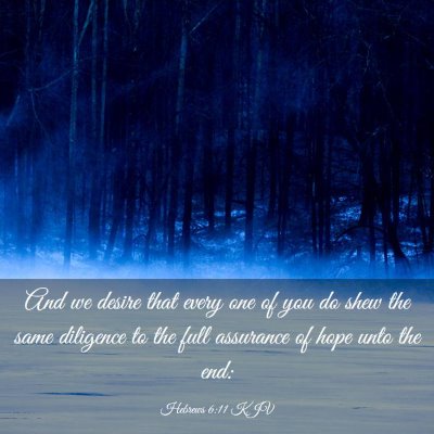 Picture 03 - Hebrews 6:11 KJV - And we desire that every one of you do shew the - Bible Verse Picture