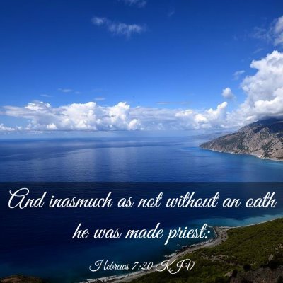 Picture 03 - Hebrews 7:20 KJV - And inasmuch as not without an oath he was made - Bible Verse Picture