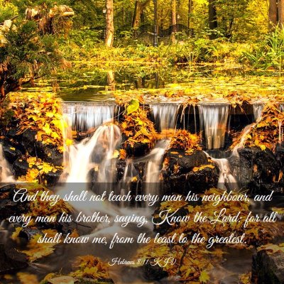 Picture 03 - Hebrews 8:11 KJV - And they shall not teach every man his neighbour, - Bible Verse Picture