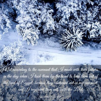 Picture 03 - Hebrews 8:9 KJV - Not according to the covenant that I made with - Bible Verse Picture