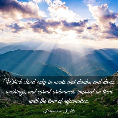 Picture 03 - Hebrews 9:10 KJV - Which stood only in meats and drinks, and divers - Bible Verse Picture