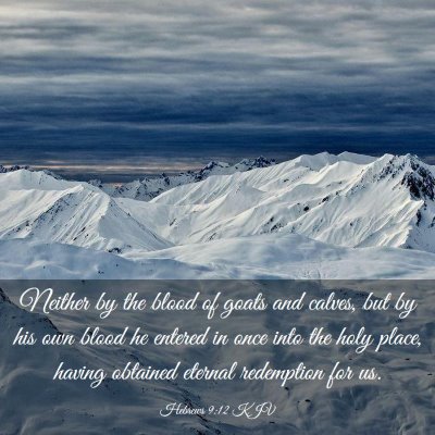 Picture 03 - Hebrews 9:12 KJV - Neither by the blood of goats and calves, but by - Bible Verse Picture