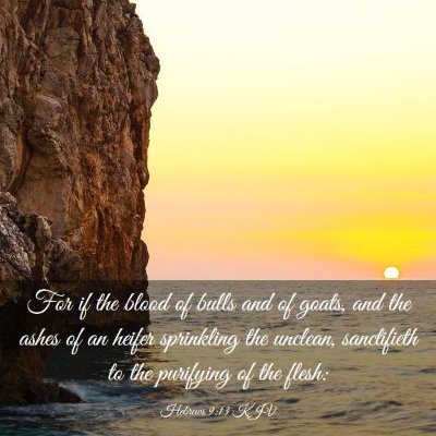Picture 03 - Hebrews 9:13 KJV - For if the blood of bulls and of goats, and the - Bible Verse Picture