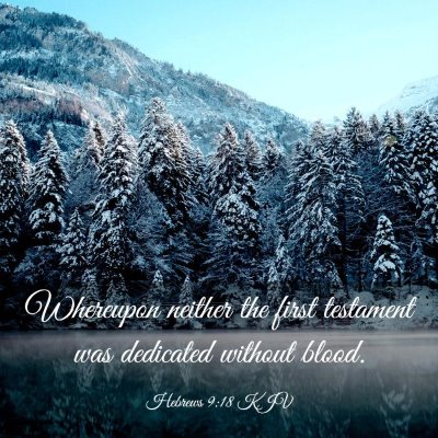 Picture 03 - Hebrews 9:18 KJV - Whereupon neither the first testament was - Bible Verse Picture