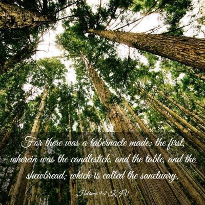 Picture 03 - Hebrews 9:2 KJV - For there was a tabernacle made; the first, - Bible Verse Picture