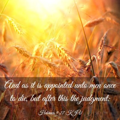 Picture 03 - Hebrews 9:27 KJV - And as it is appointed unto men once to die, but - Bible Verse Picture