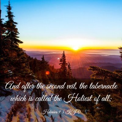 Picture 03 - Hebrews 9:3 KJV - And after the second veil, the tabernacle which - Bible Verse Picture
