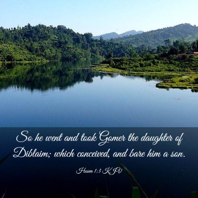 Picture 03 - Hosea 1:3 KJV - So he went and took Gomer the daughter of - Bible Verse Picture